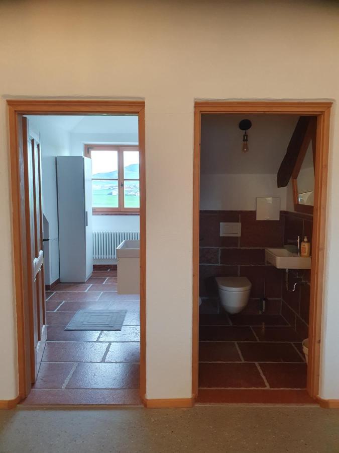 Gutshof Seenland Apartment Seekirchen am Wallersee Exterior photo